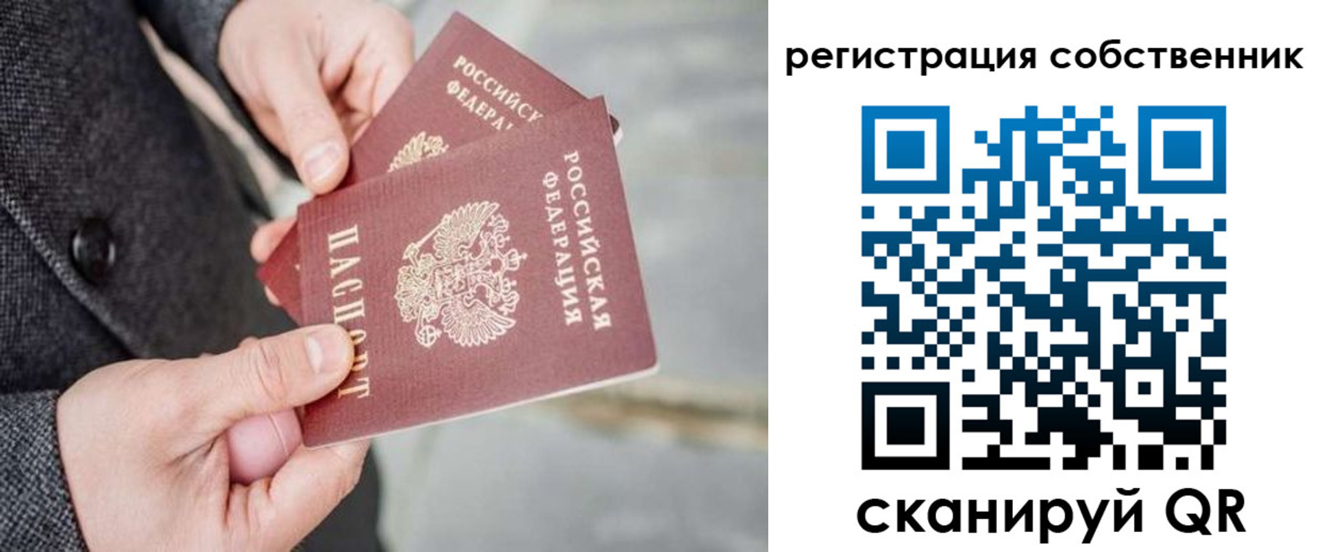 временная регистрация гарантия в Волосово